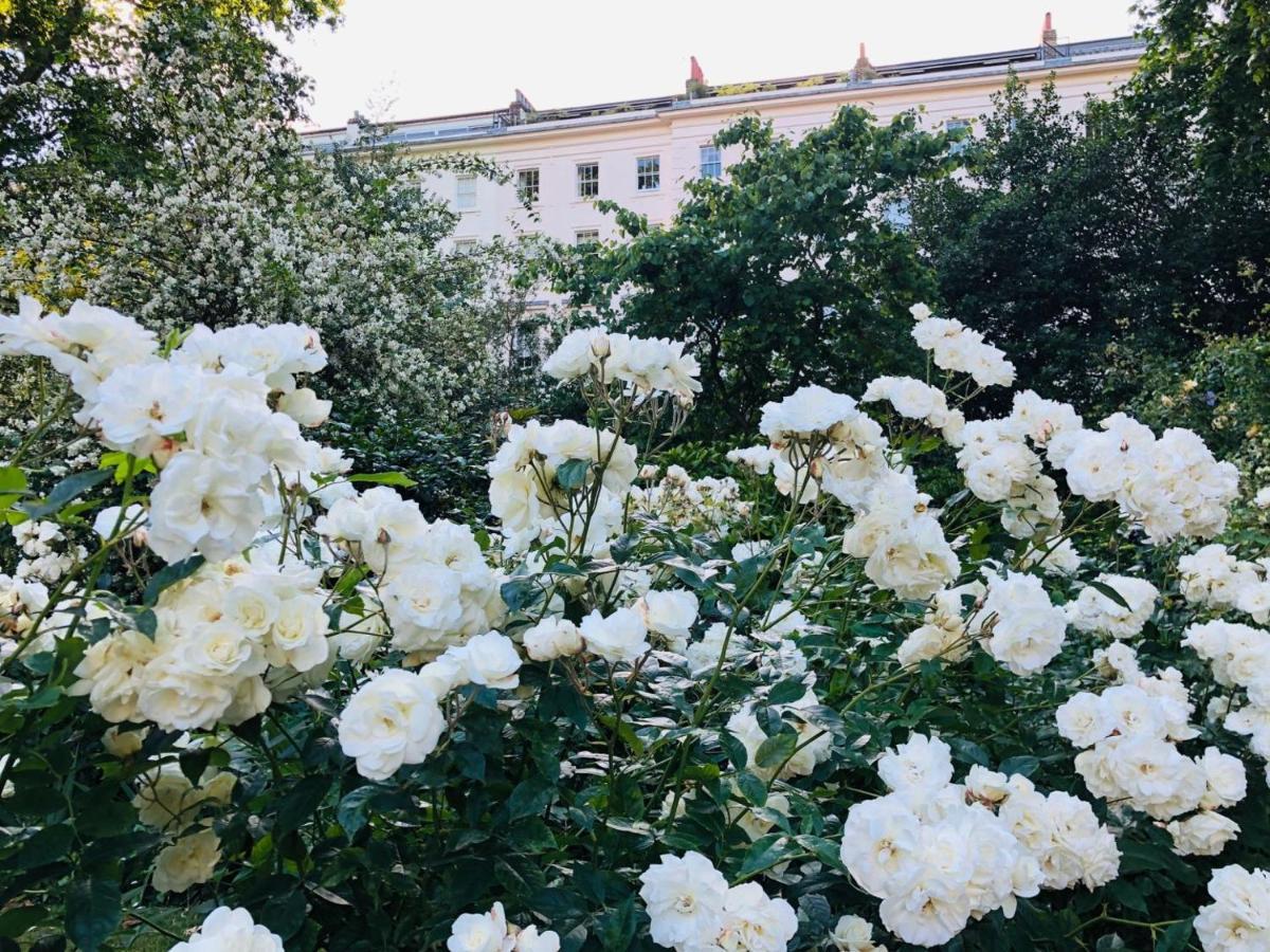 Southern Belgravia Appartement