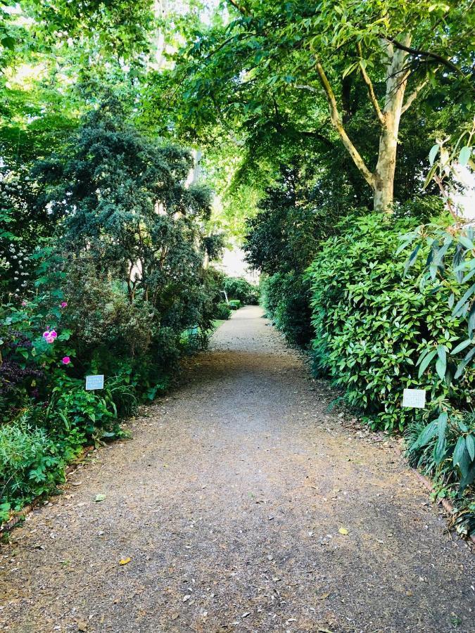Southern Belgravia Londres